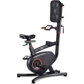 Lifespan Upright Bike with Boxing Pad