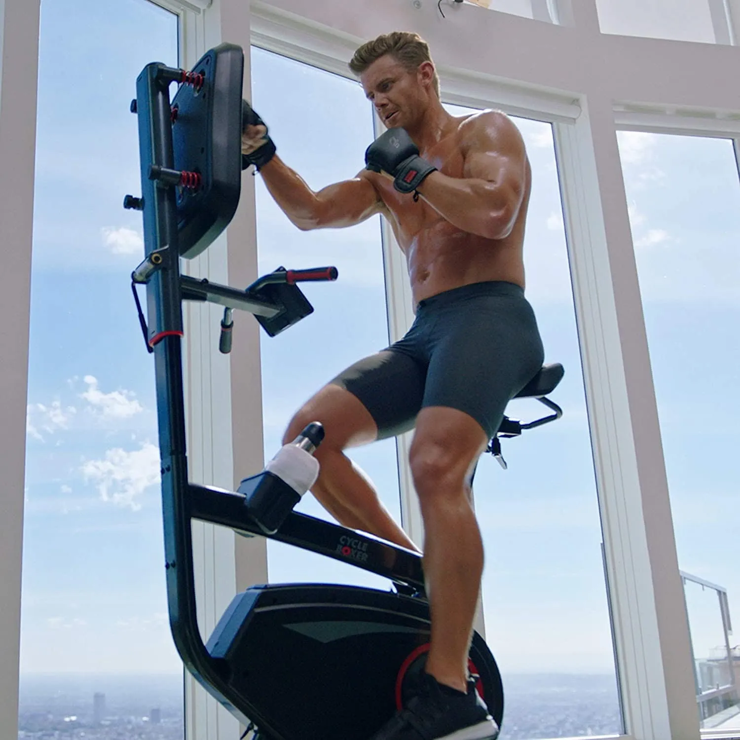 Lifespan Upright Bike with Boxing Pad